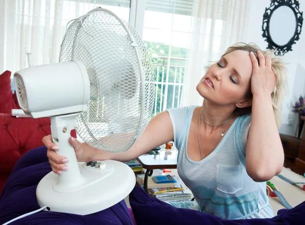 Energy Saving Tips Inspired by Atticman Heating and Air Conditioning, Insulation Services