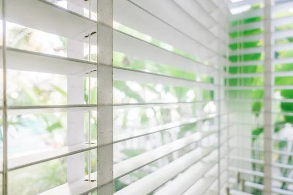 Blinds Southampton Trends That Are Popular This Year