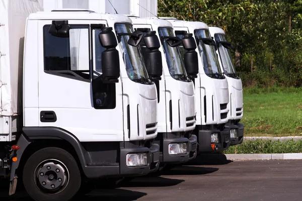 What Makes a Toronto Freight Forwarder Essential for International Shipping