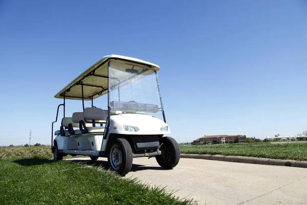 Golf Cart Dealer Insights for Better Buying Decisions