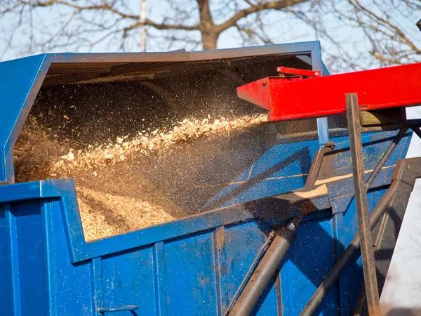 Complete Guide to Choosing the Right Tree Removal Service